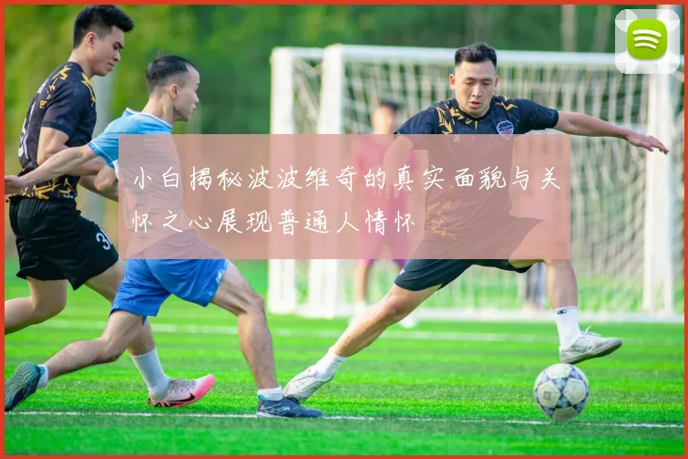 小白揭秘波波维奇的真实面貌与关怀之心展现普通人情怀